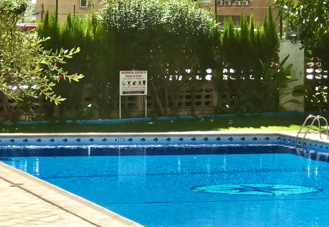 Apartment in Benidorm - ACACIAS CORNER VIEWS N111