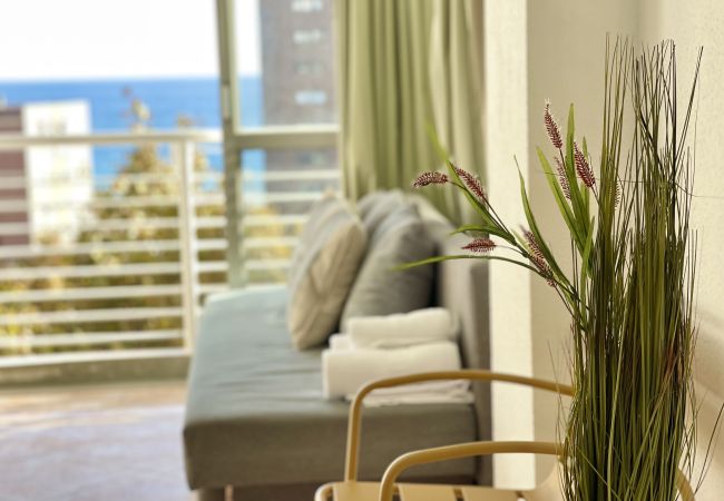Apartment in Benidorm - CABALLOS LEVANTE BEACH N069B