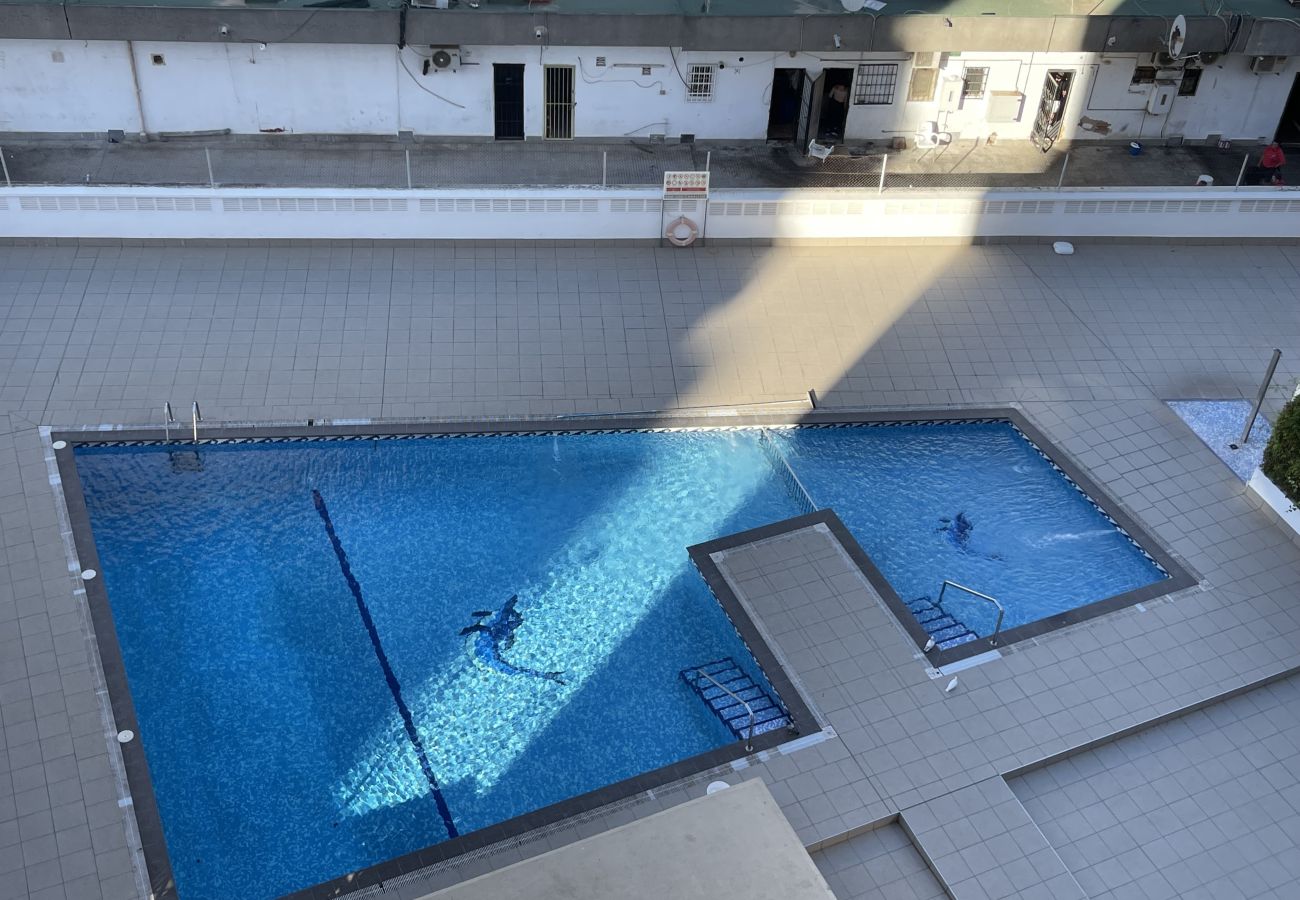 Apartment in Benidorm - CABALLOS LEVANTE BEACH N069B