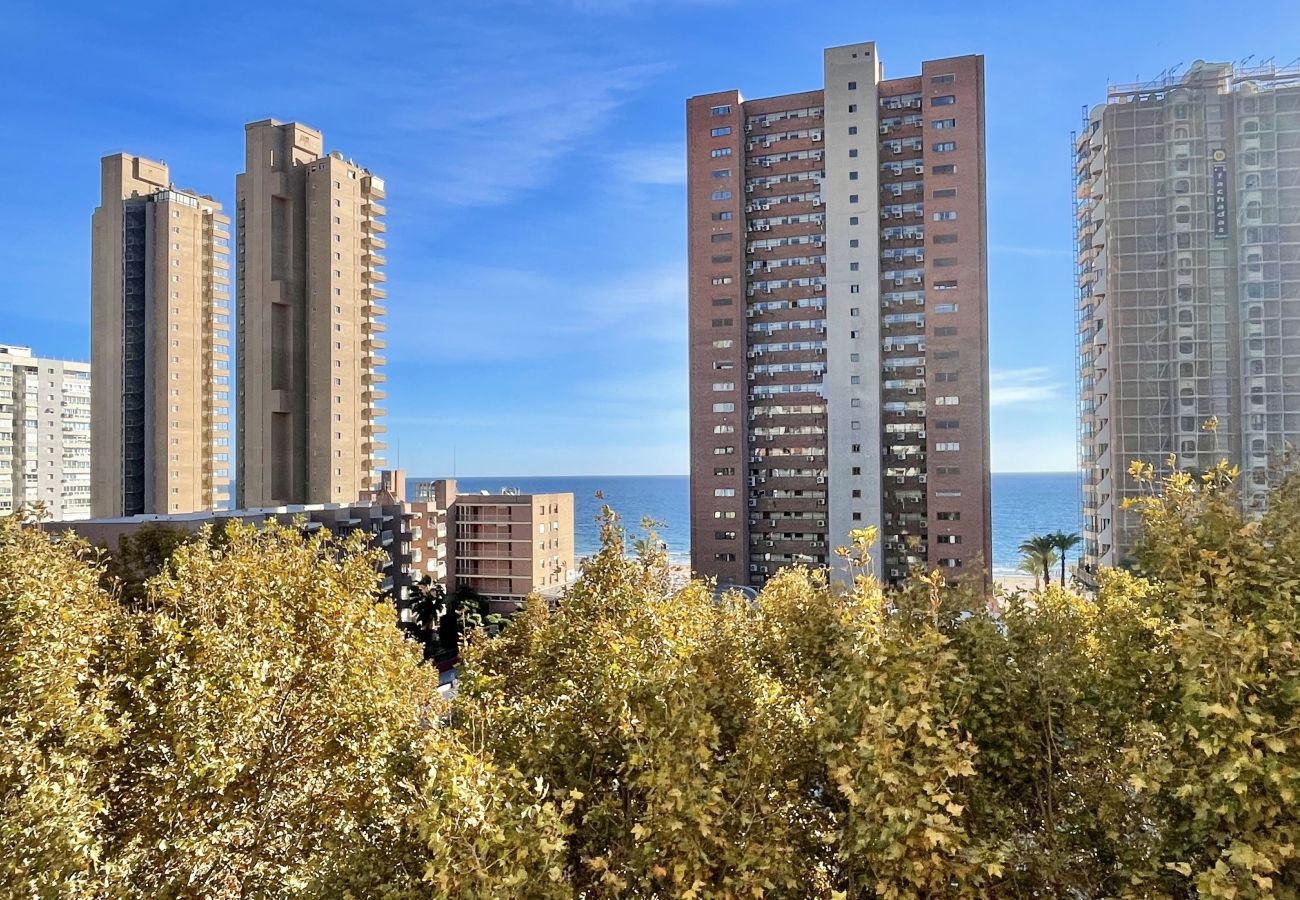 Apartment in Benidorm - CABALLOS LEVANTE BEACH N069B
