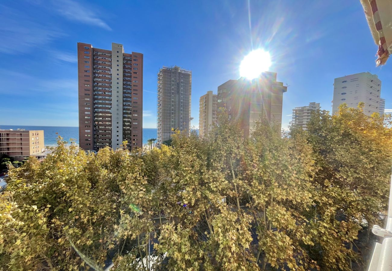 Apartment in Benidorm - CABALLOS LEVANTE BEACH N069B