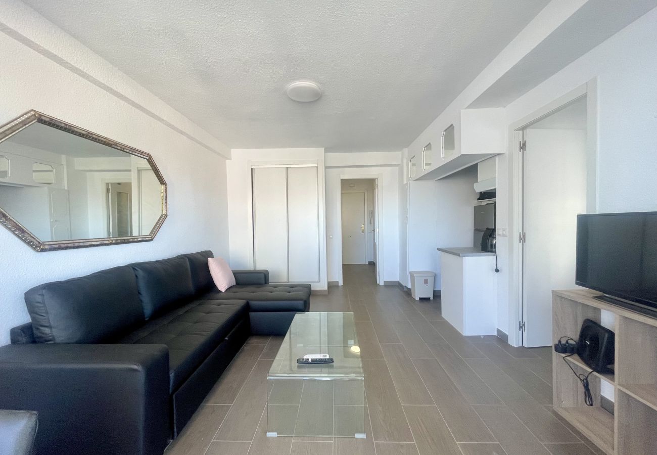 Apartment in Benidorm - PINTOR SOLANA PONIENTE BEACH N116