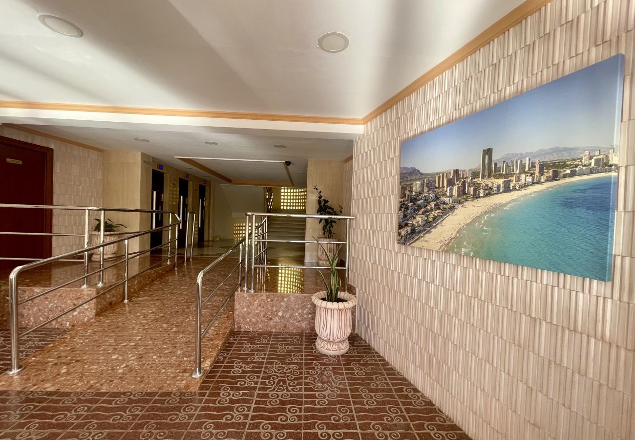 Apartment in Benidorm - PINTOR SOLANA PONIENTE BEACH N116