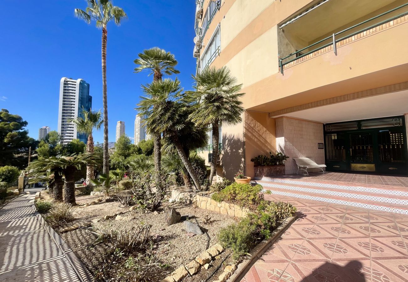 Apartment in Benidorm - PINTOR SOLANA PONIENTE BEACH N116