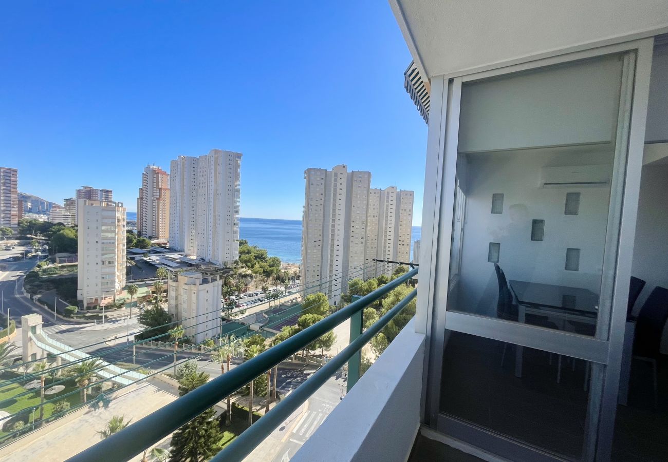 Apartment in Benidorm - PINTOR SOLANA PONIENTE BEACH N116