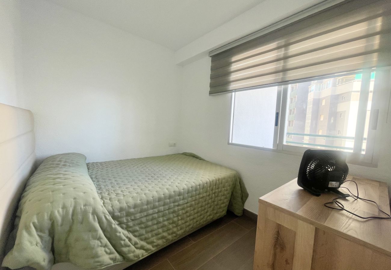 Apartment in Benidorm - PINTOR SOLANA PONIENTE BEACH N116