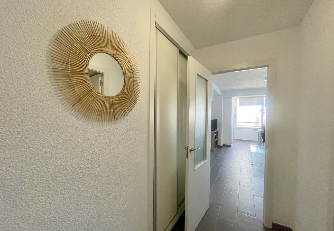 Apartment in Benidorm - PINTOR SOLANA PONIENTE BEACH N116