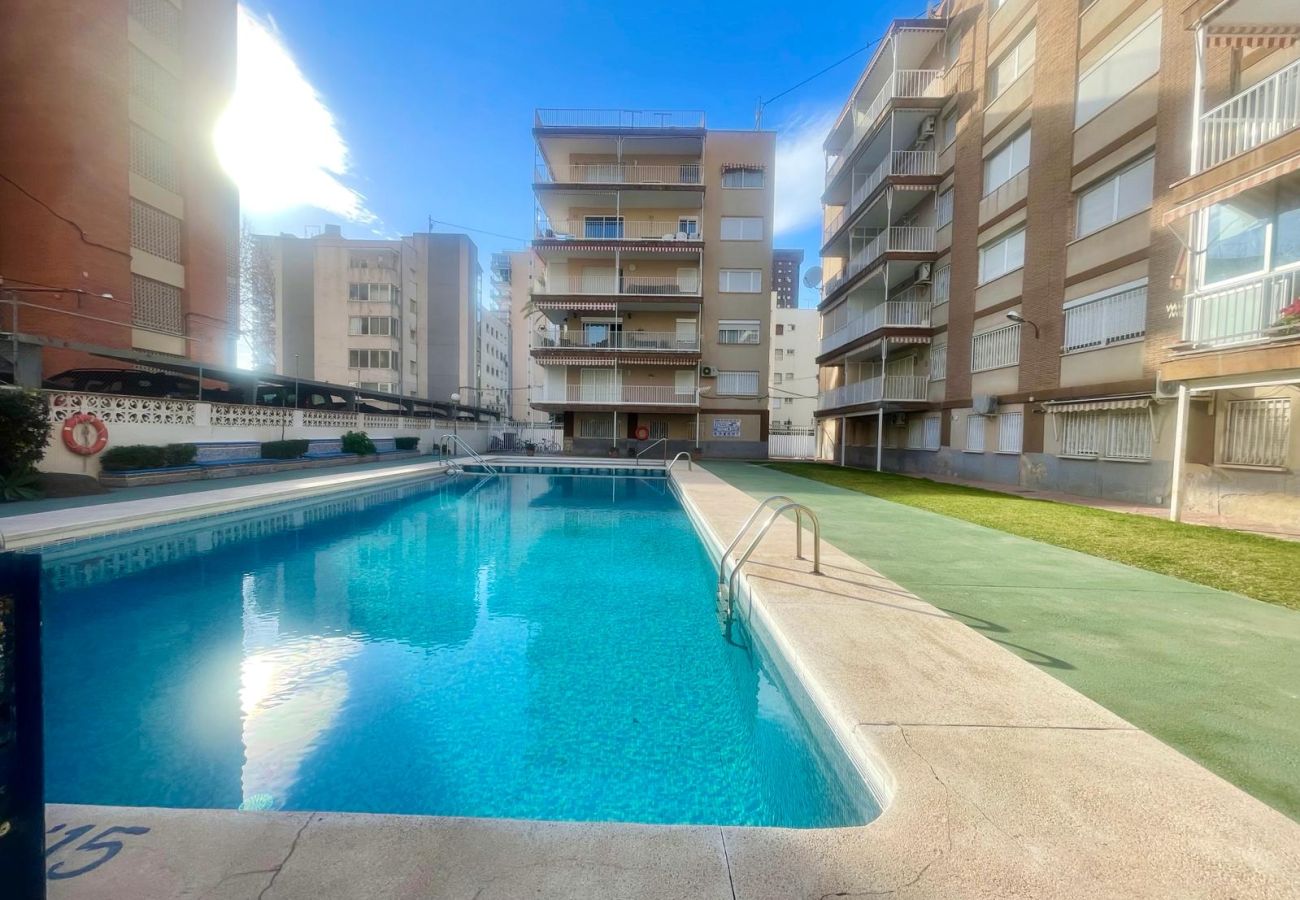 Apartment in Benidorm - WHITE HOUSE NERVION N077