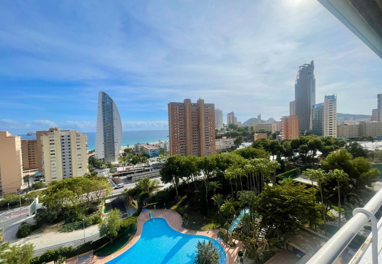 Apartment in Benidorm - COBLANCA DREAM PONIENTE N149