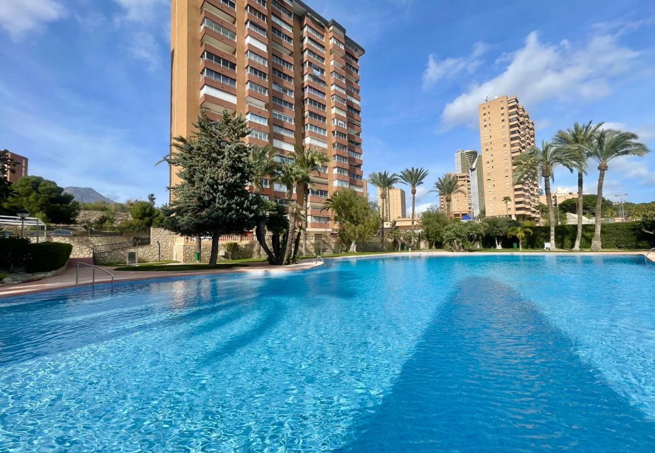 Apartment in Benidorm - COBLANCA DREAM PONIENTE N149