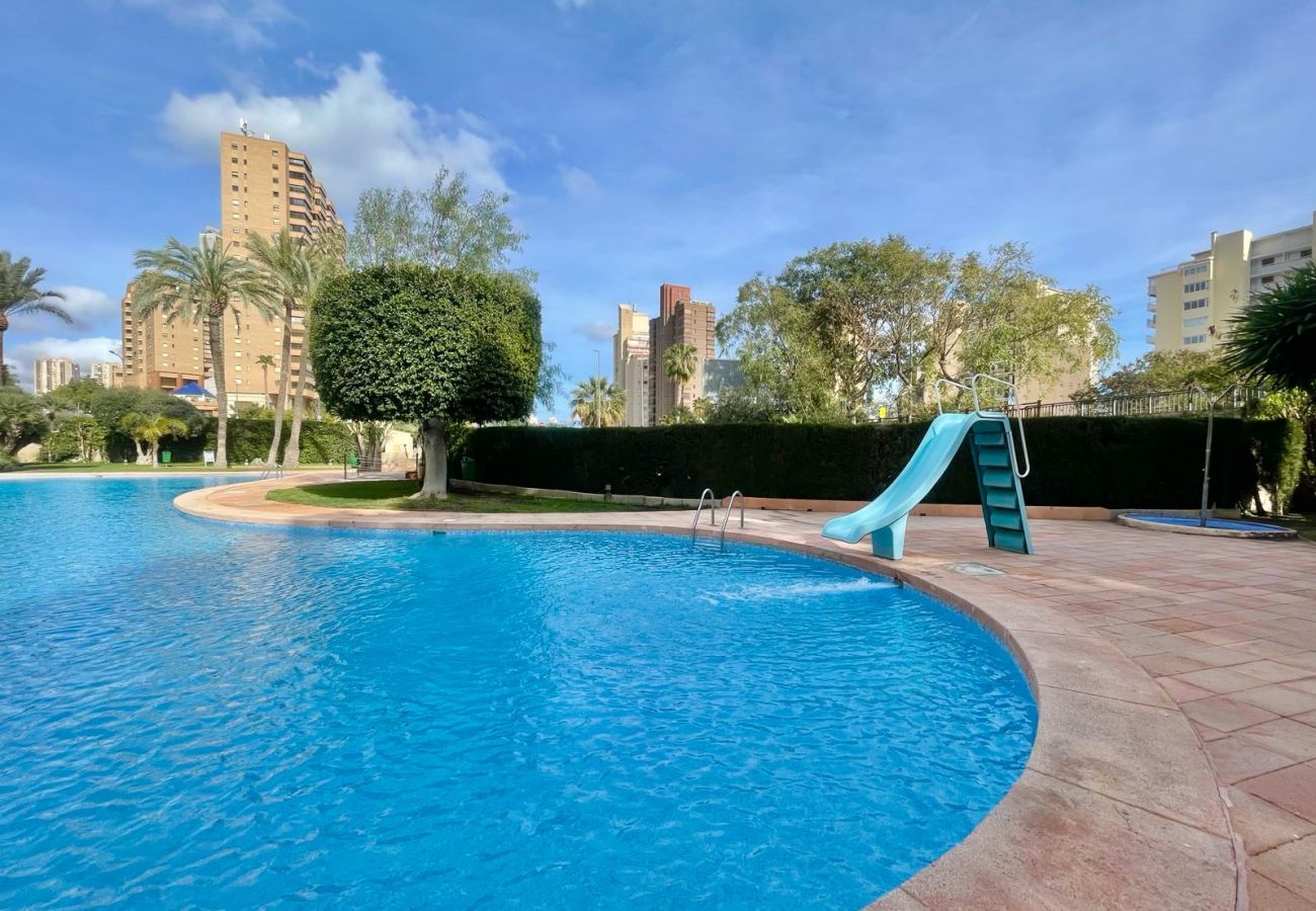 Apartment in Benidorm - COBLANCA DREAM PONIENTE N149