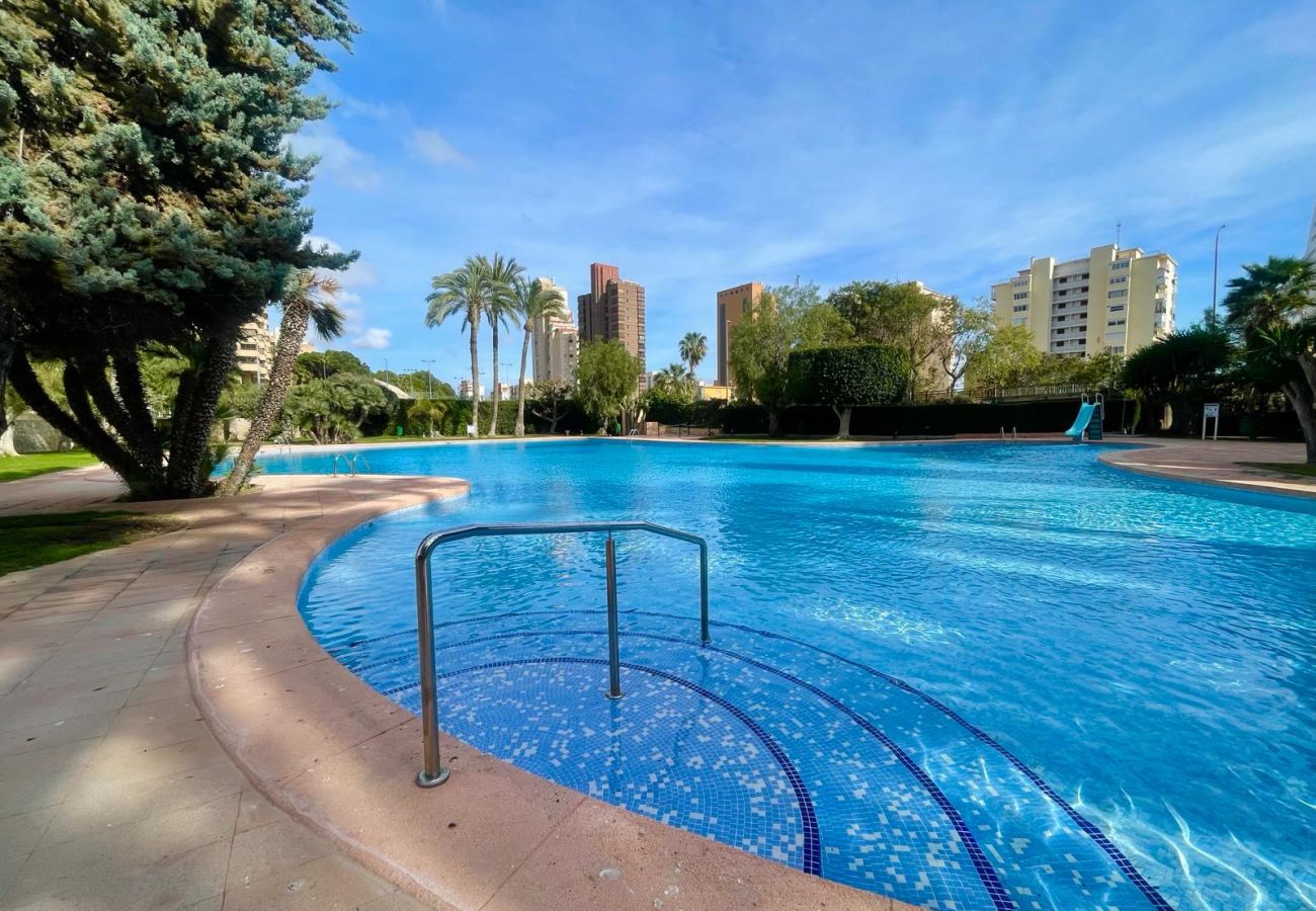Apartment in Benidorm - COBLANCA DREAM PONIENTE N149