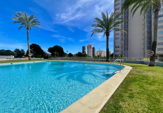  in Benidorm - BENIDORM LUX PONIENTE BEACH N155