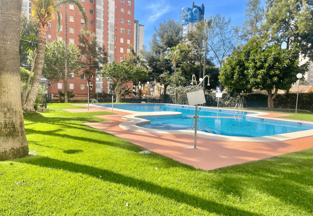Apartment in Benidorm - Gemelos XII Levante Beach N073