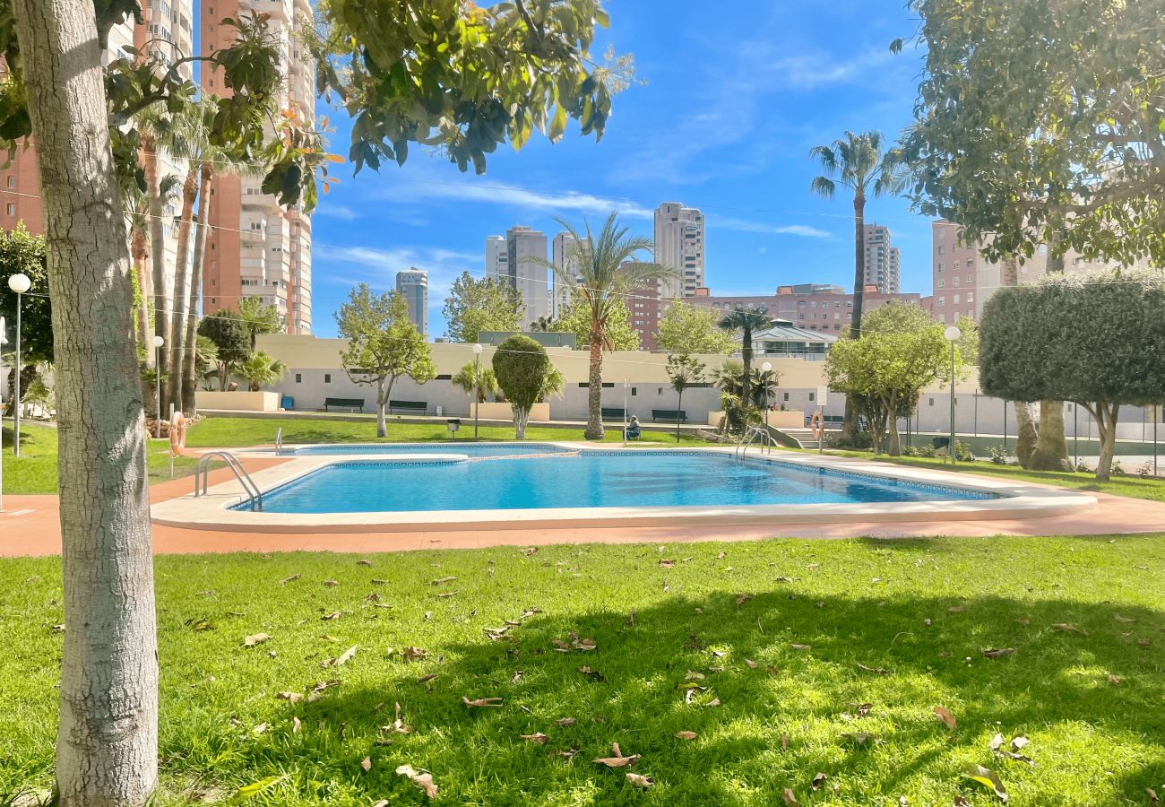 Apartment in Benidorm - Gemelos XII Levante Beach N073
