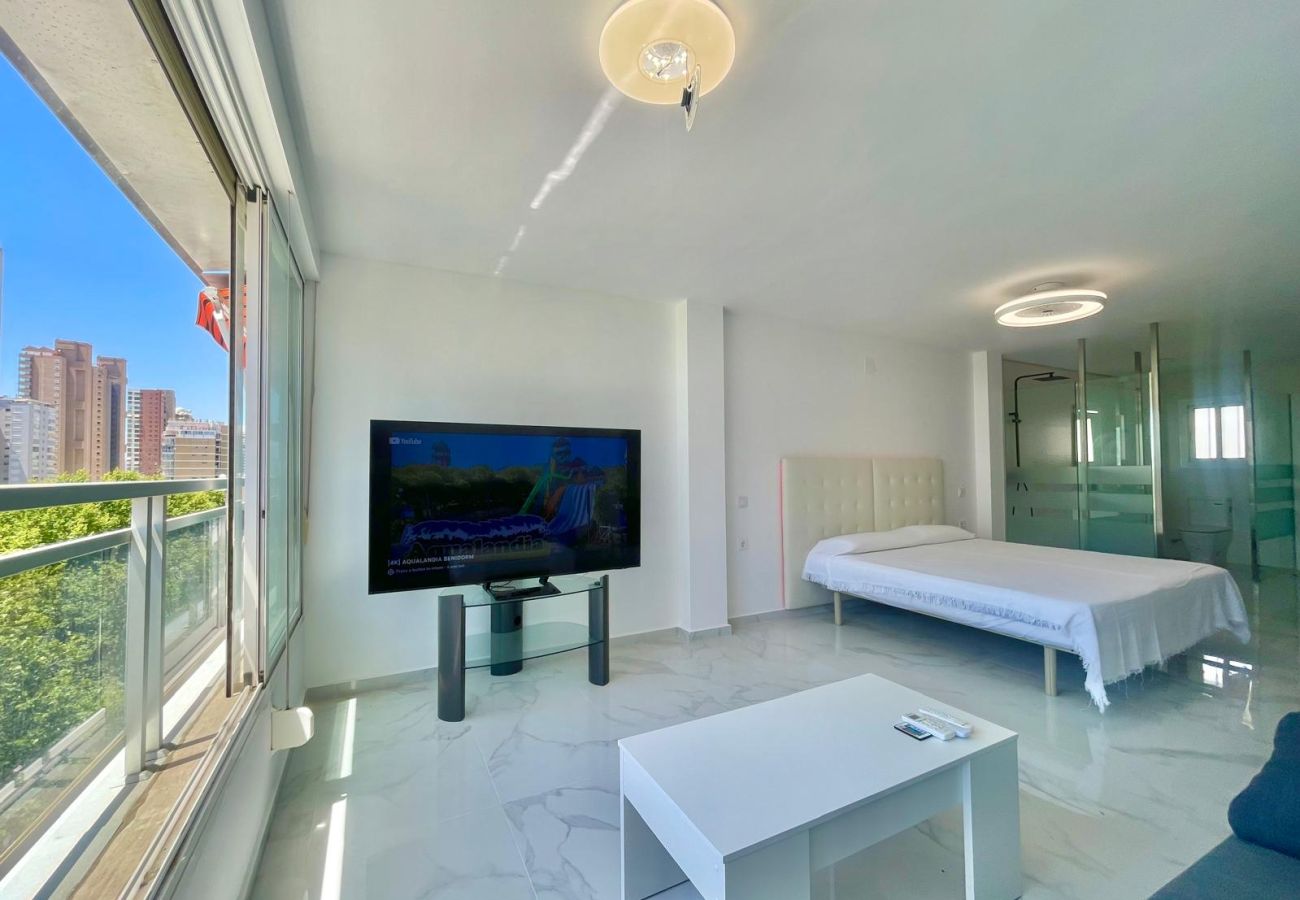 Studio in Benidorm - MAGNIFICENT MEDITERRANEO STUDIO (N113)