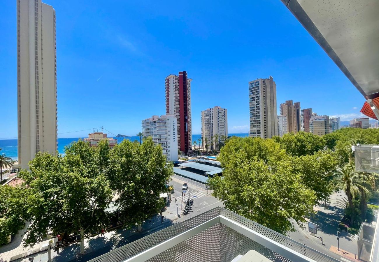 Studio in Benidorm - MAGNIFICENT MEDITERRANEO STUDIO (N113)