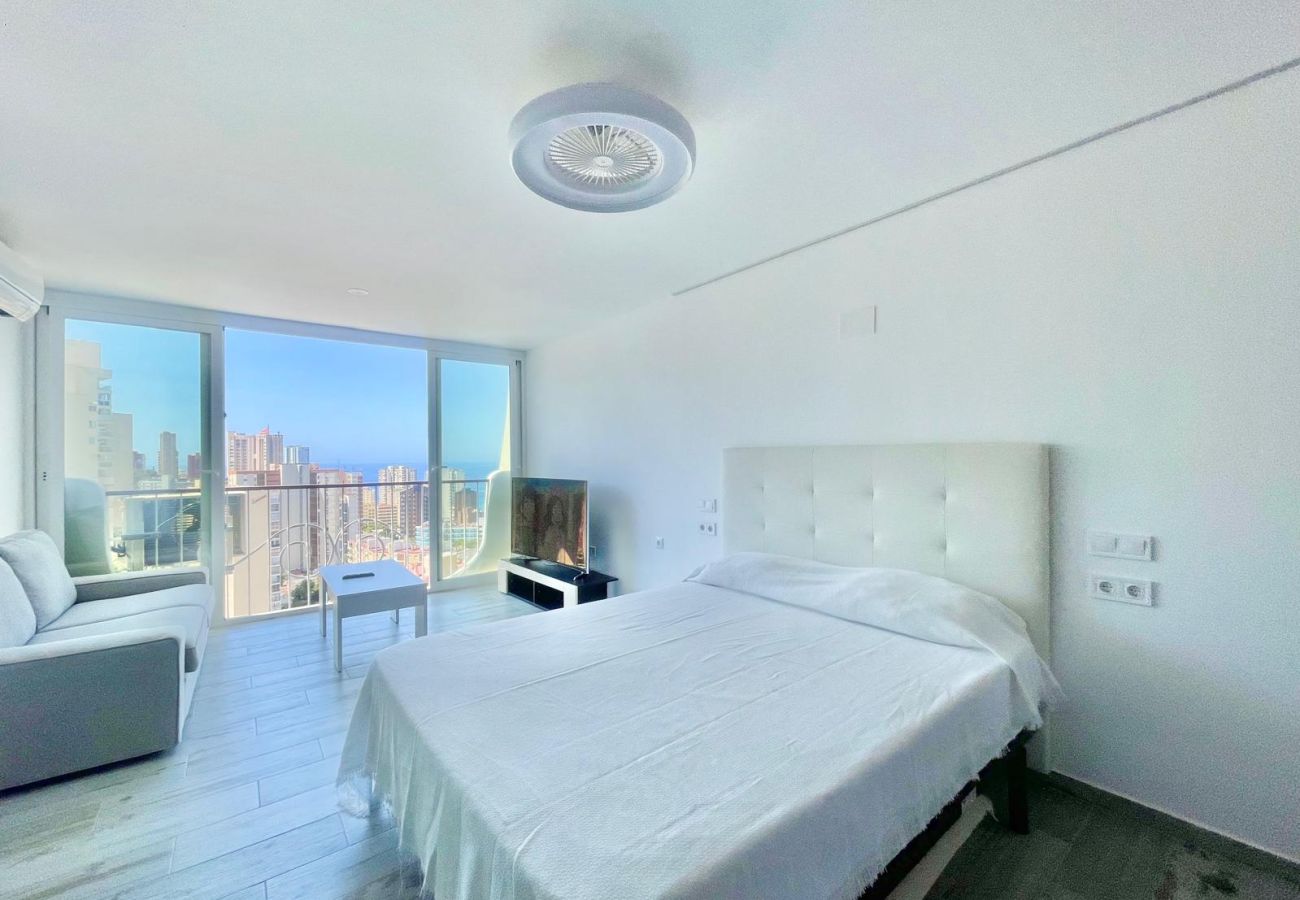 Studio in Benidorm - PENTHOUSE STUDIO PLAYMON PARK N143