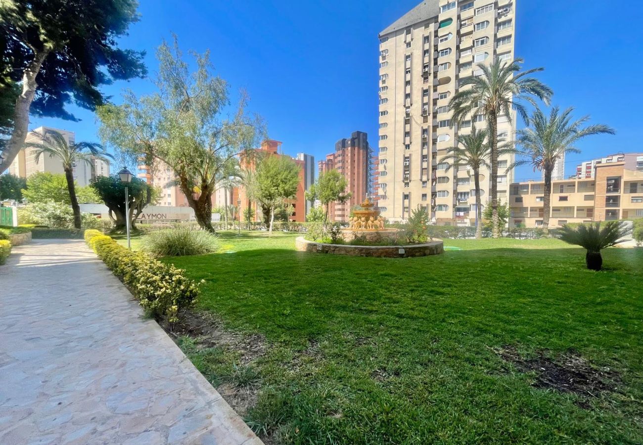 Studio in Benidorm - PENTHOUSE STUDIO PLAYMON PARK N143
