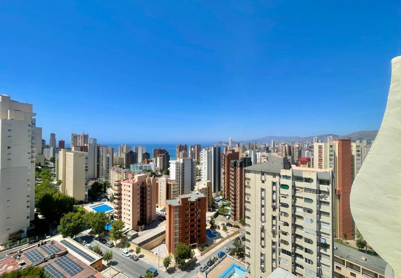 Studio in Benidorm - PENTHOUSE STUDIO PLAYMON PARK N143