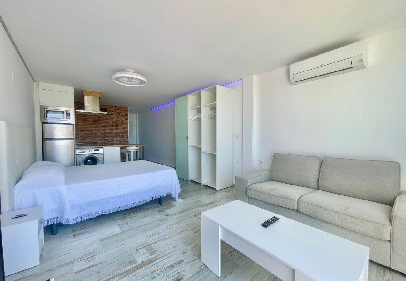 Studio in Benidorm - PENTHOUSE STUDIO PLAYMON PARK N143