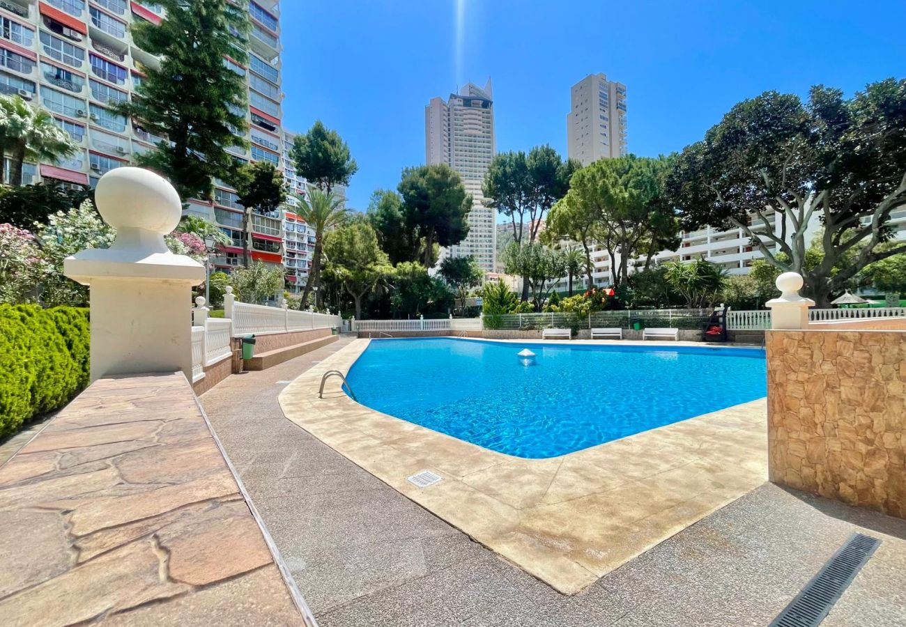 Studio in Benidorm - PENTHOUSE STUDIO PLAYMON PARK N143