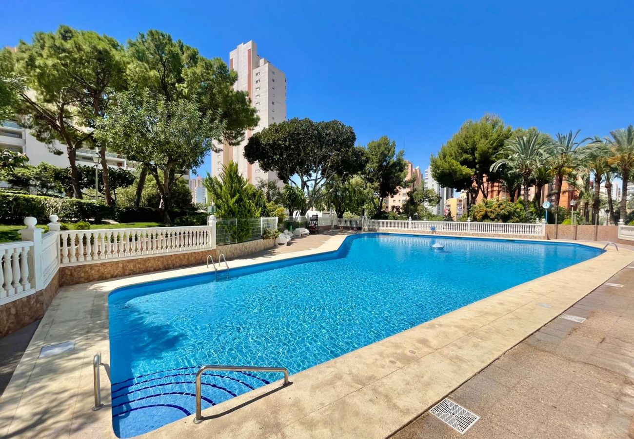 Studio in Benidorm - PENTHOUSE STUDIO PLAYMON PARK N143
