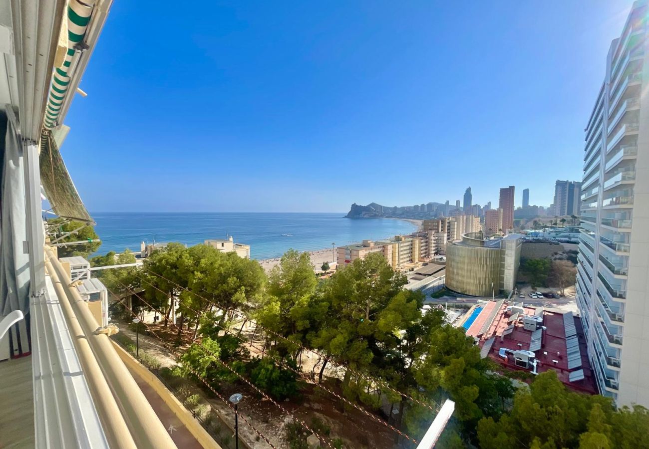 Apartment in Benidorm - PINTOR SOROLLA PONIENTE BEACH N160