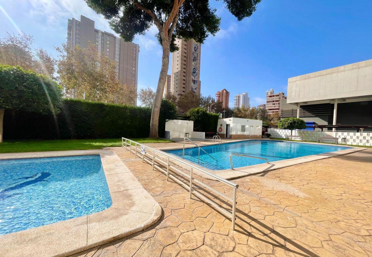 Apartment in Benidorm - ALBATROS RINCON DREAM N179