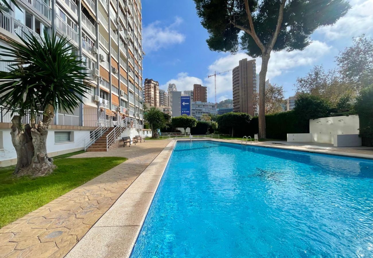 Apartment in Benidorm - ALBATROS RINCON DREAM N179