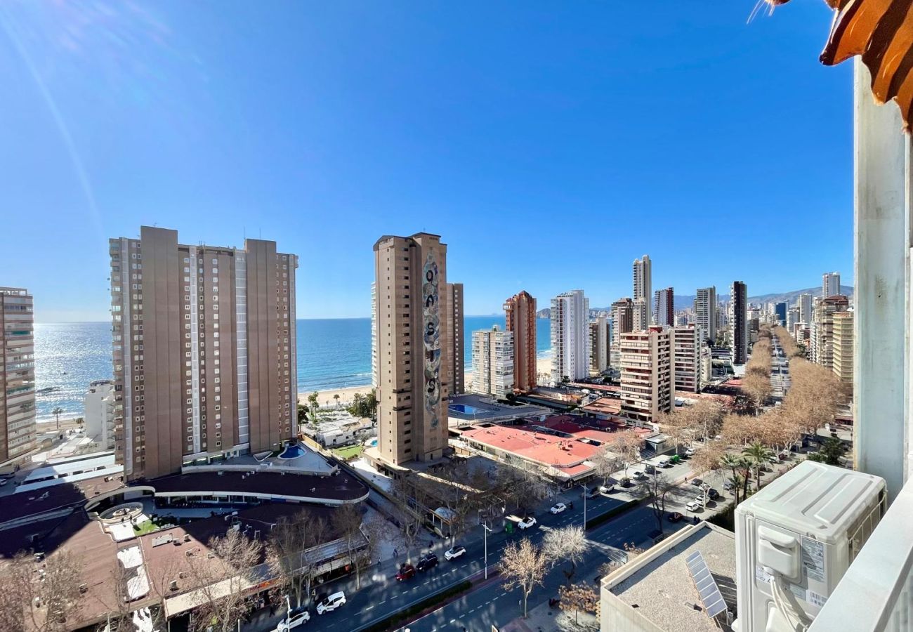 Apartment in Benidorm - ALBATROS RINCON DREAM N179