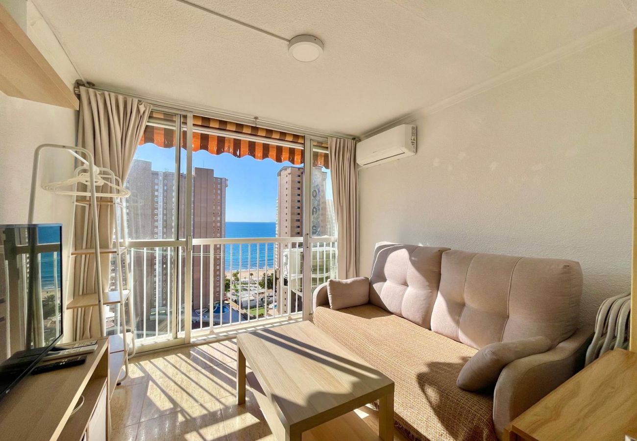 Apartment in Benidorm - ALBATROS RINCON DREAM N179