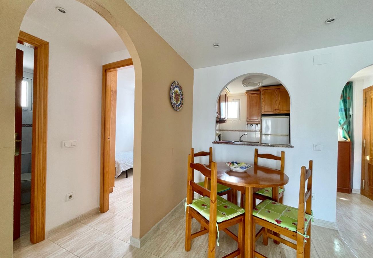 Apartment in Benidorm - AQUAVIVA BEACH N041
