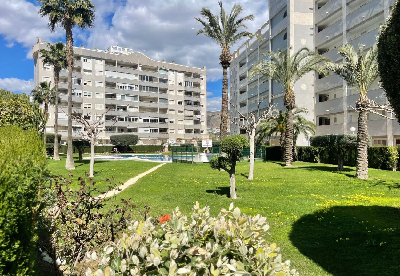 Apartment in Benidorm - AQUAVIVA BEACH N041
