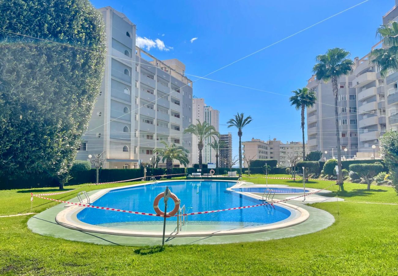 Apartment in Benidorm - AQUAVIVA BEACH N041