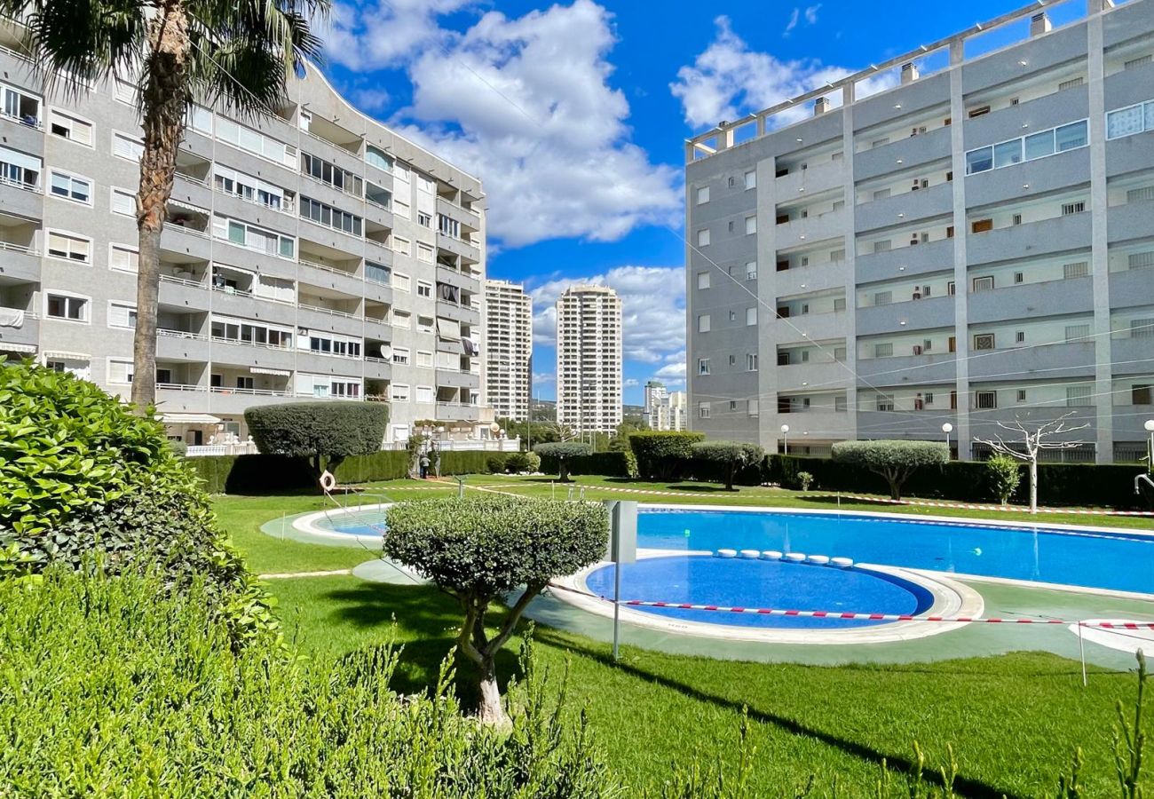 Apartment in Benidorm - AQUAVIVA BEACH N041