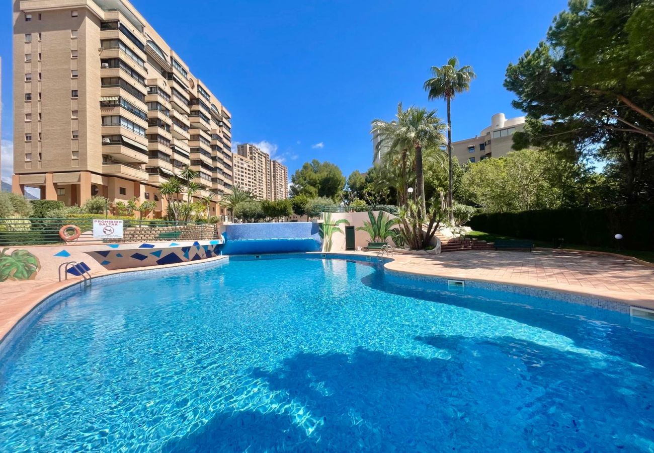 Apartment in Benidorm - COBLANCA PONIENTE APARTMENT A081