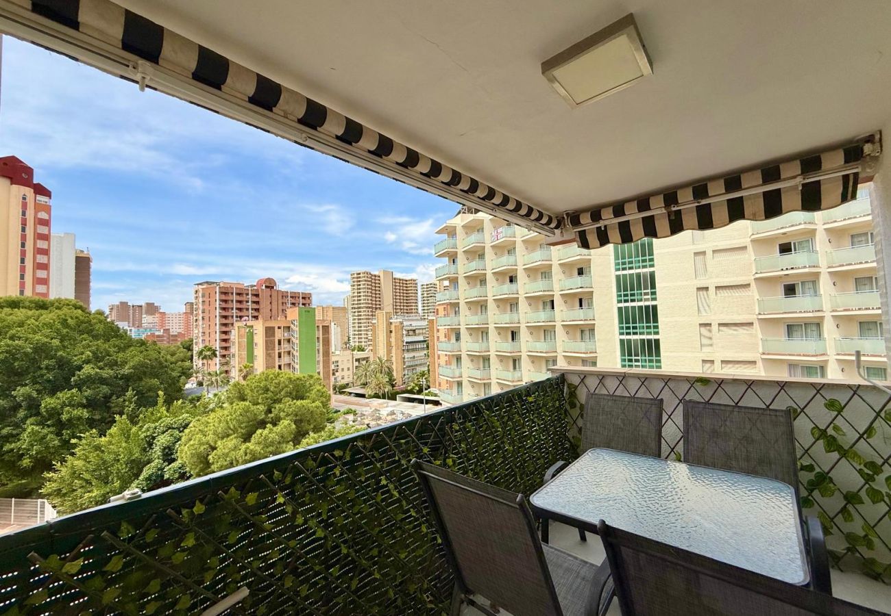 Apartment in Benidorm - TORRE COLON APARTMENT (A120)