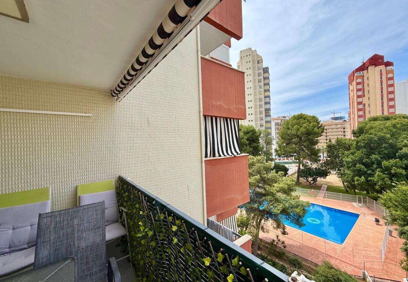 Apartment in Benidorm - TORRE COLON APARTMENT (A120)