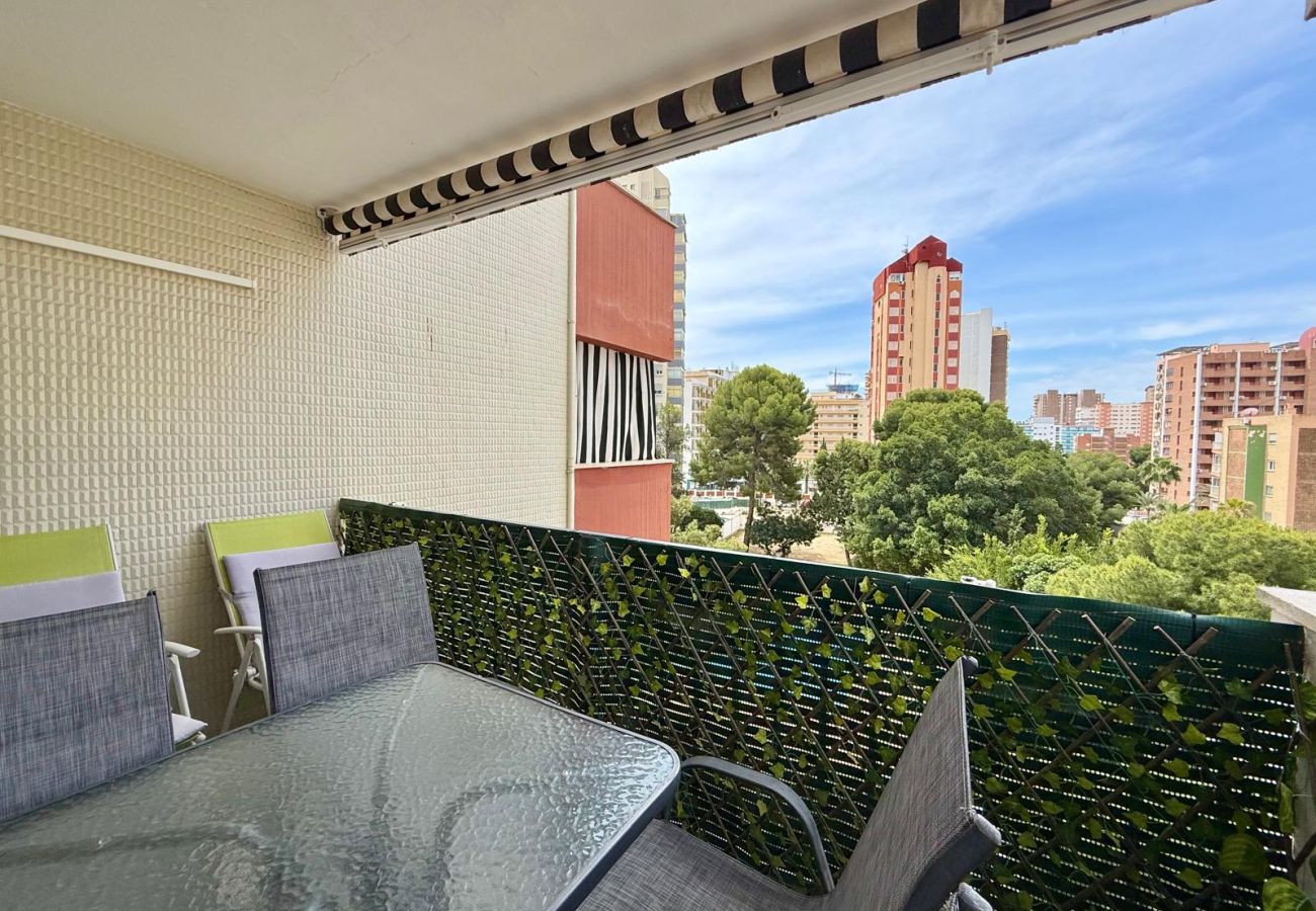 Apartment in Benidorm - TORRE COLON APARTMENT (A120)