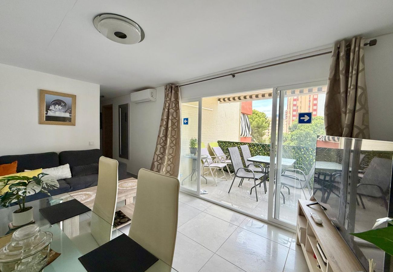 Apartment in Benidorm - TORRE COLON APARTMENT (A120)