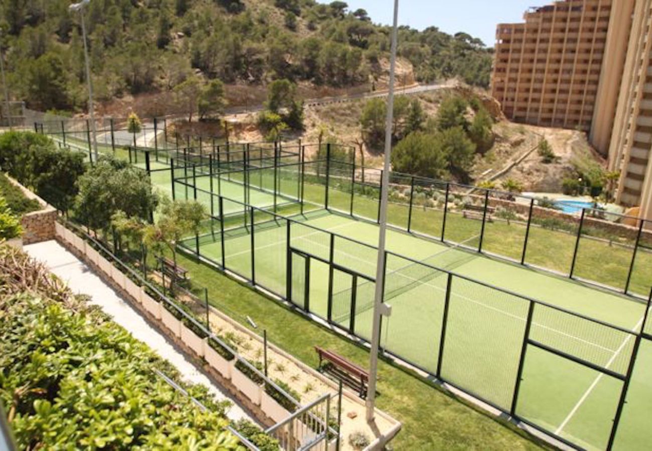 Apartment in Benidorm - LUGANO 27 FLOOR N162