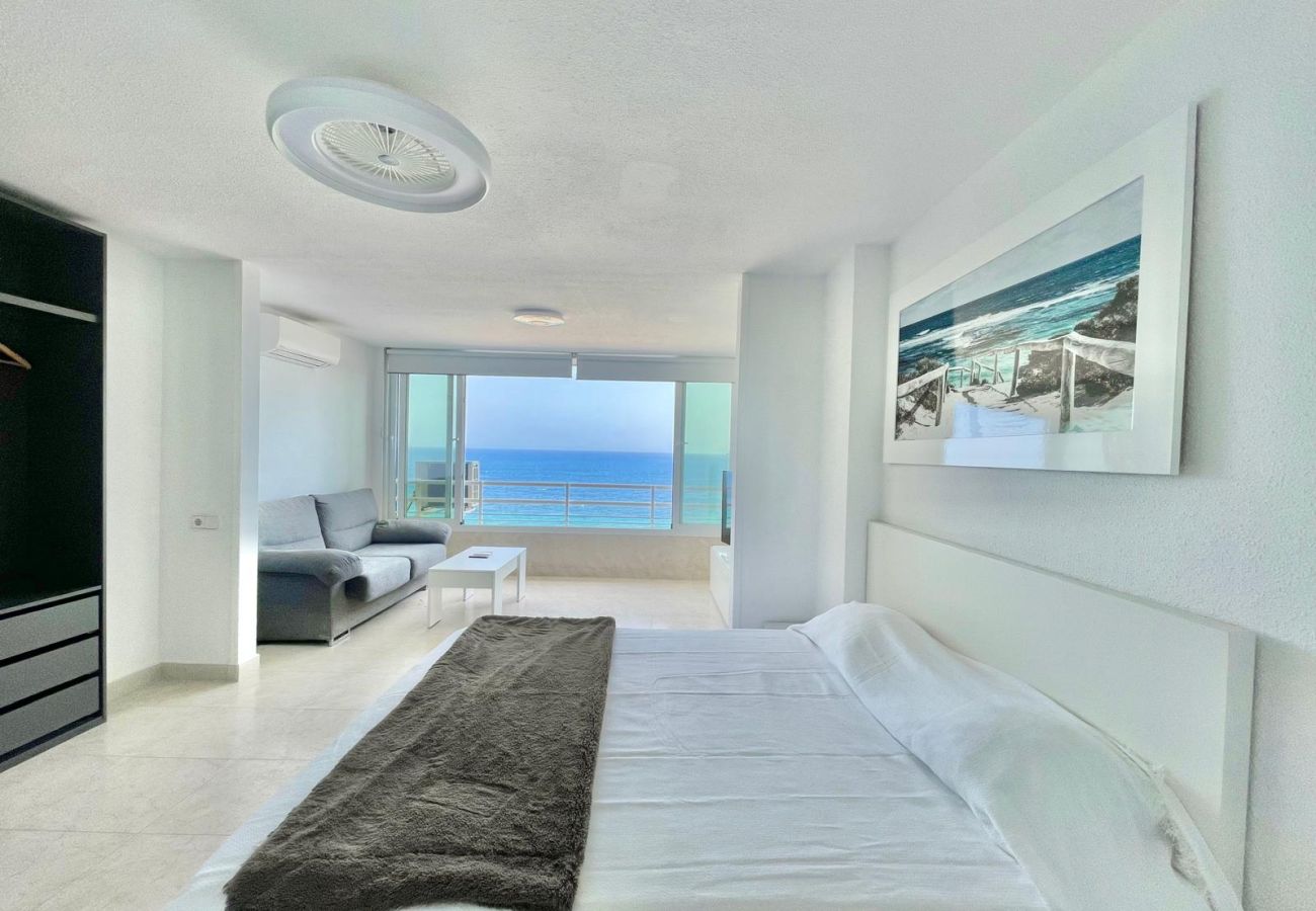 Studio in Benidorm - TORRE COBLANCA SEAFRONT STUDIO (A159)