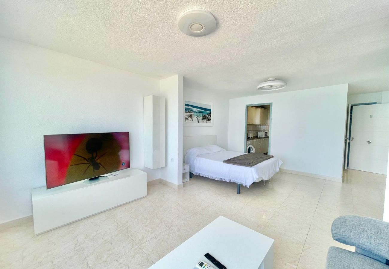 Studio in Benidorm - TORRE COBLANCA SEAFRONT STUDIO (A159)