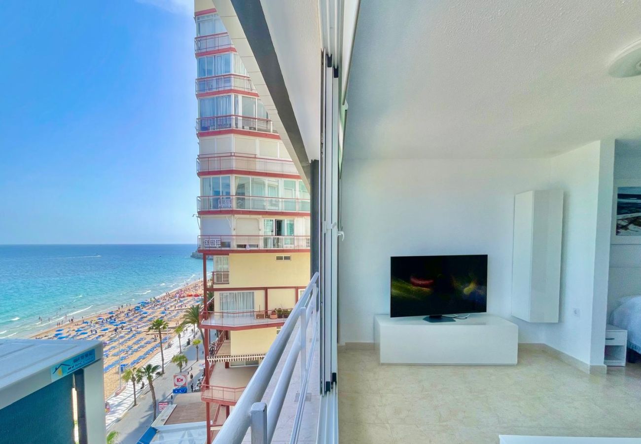 Studio in Benidorm - TORRE COBLANCA SEAFRONT STUDIO (A159)
