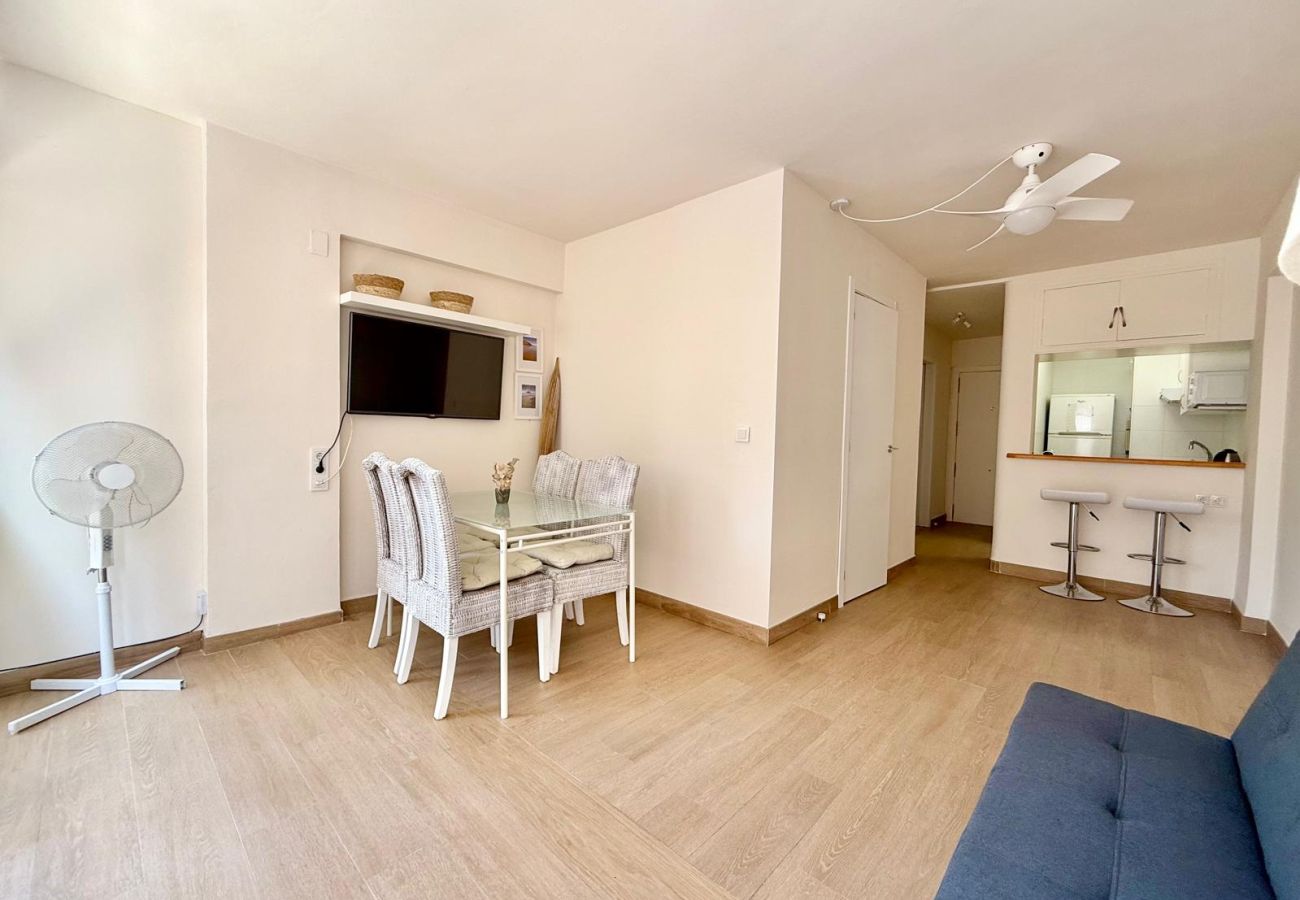 Apartment in Benidorm - TROPICANA BEACH PONIENTE A091