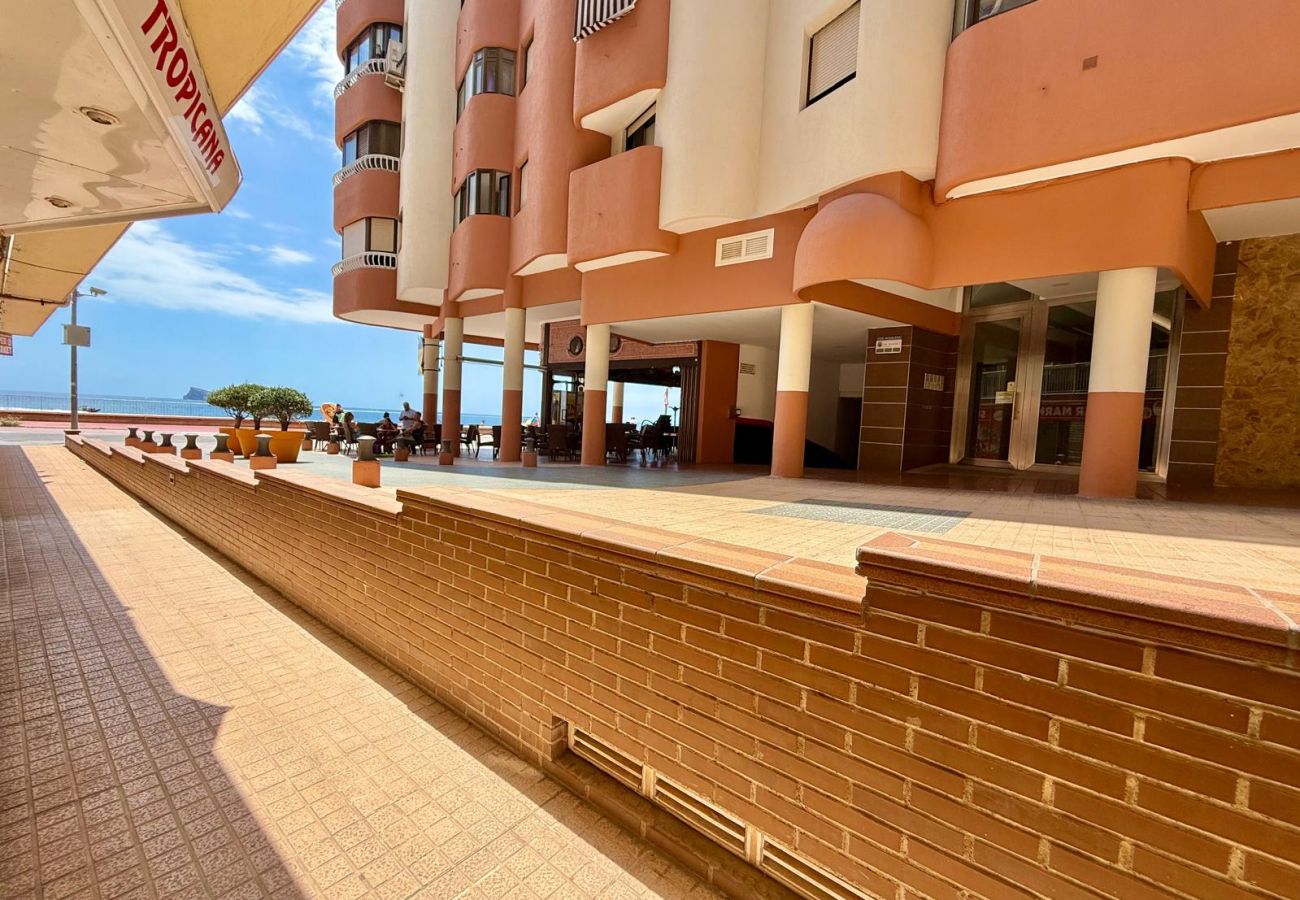 Apartment in Benidorm - TROPICANA BEACH PONIENTE A091