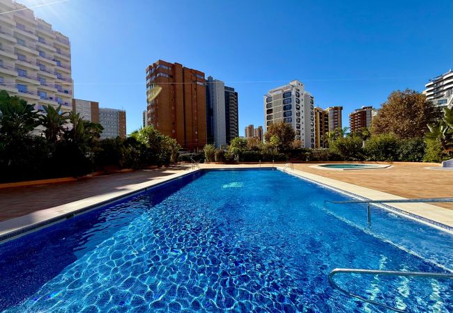  in Benidorm - TORRE MAR SKY BENIDORM N117