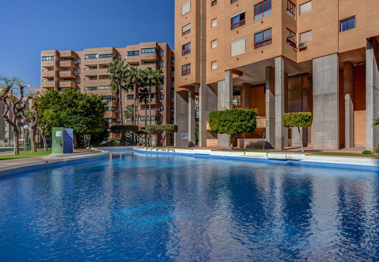 Apartment in Benidorm - ENTREPLAYAS HOLIDAY APARTMENT (A062)