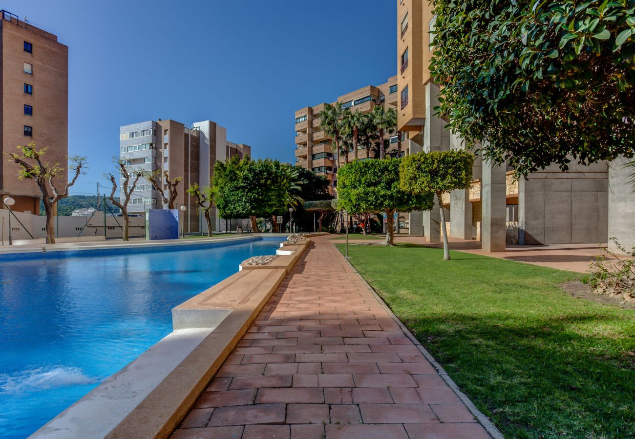 Apartment in Benidorm - ENTREPLAYAS HOLIDAY APARTMENT (A062)